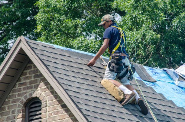 Best Roof Leak Repair  in Cedarville, OH